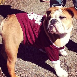 Meet your Posher, Kristi